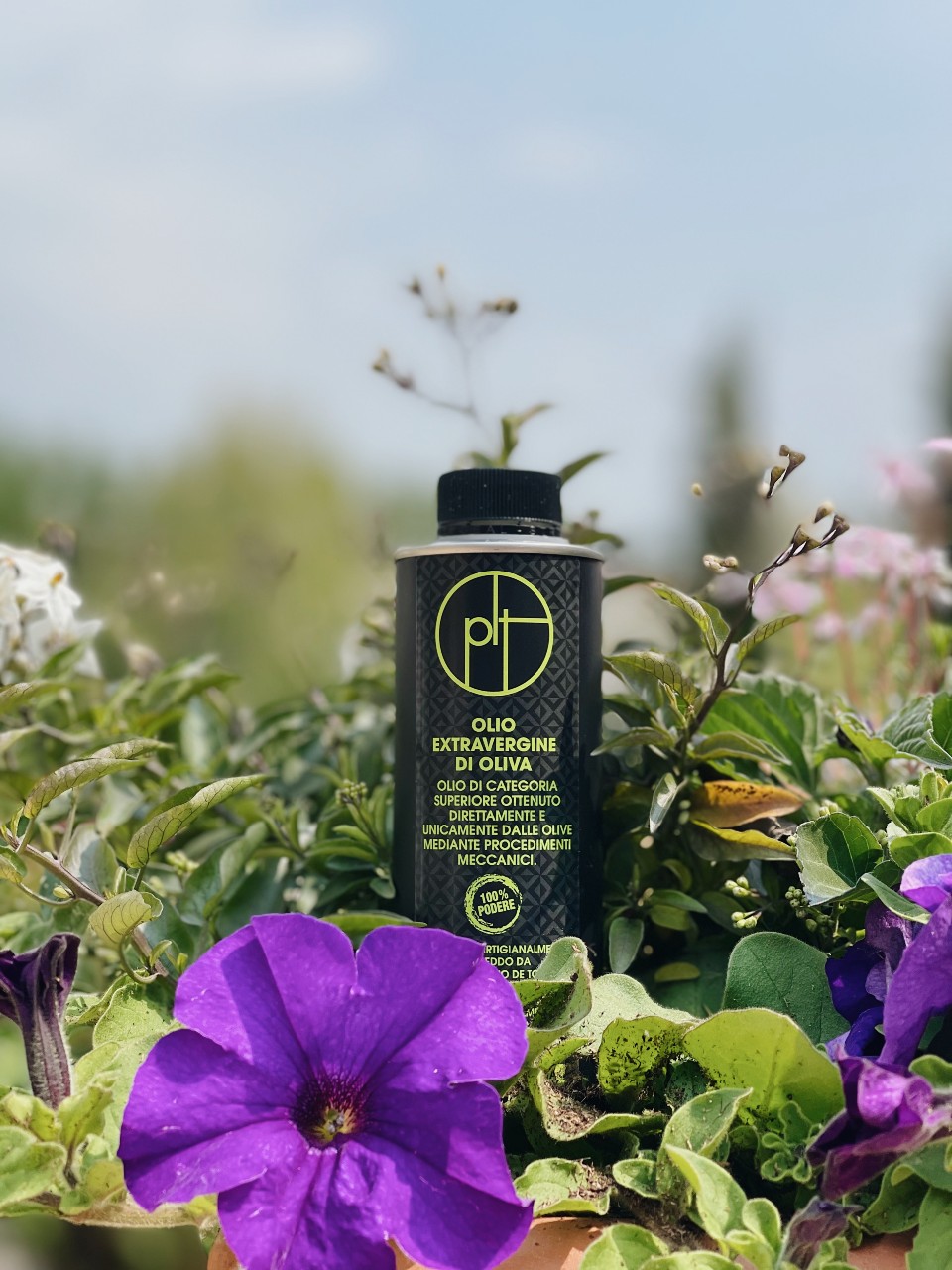 Olio extravergine di oliva